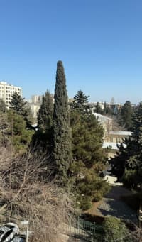 3 otaqlı mənzil 75 m² satılır — şəkil 19
