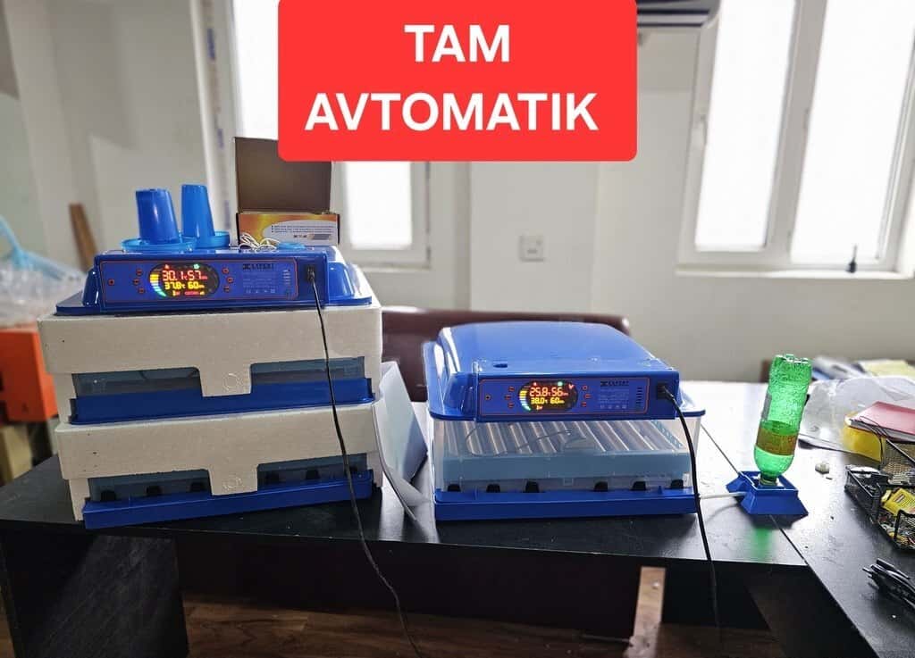 Полностью автоматические модели инкубаторов Expert - Tenderyard