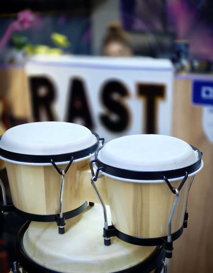 Bongo drum set, with professional stand - Tenderyard