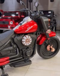 Uşaq elektromotosikleti Harley Davidson ZTN SF6688 — şəkil 3