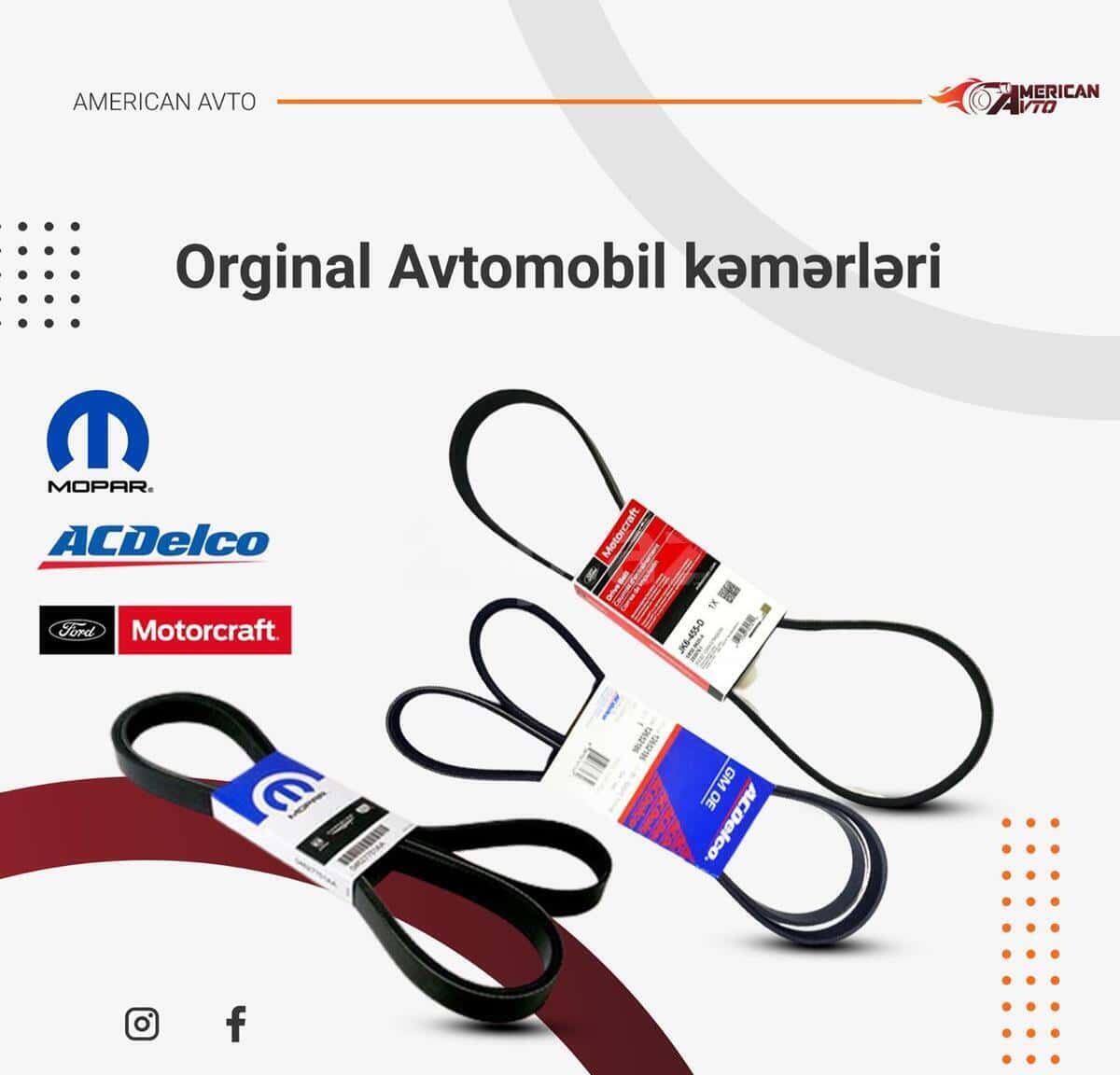 Belt for Jeep and Dodge models - Tenderyard