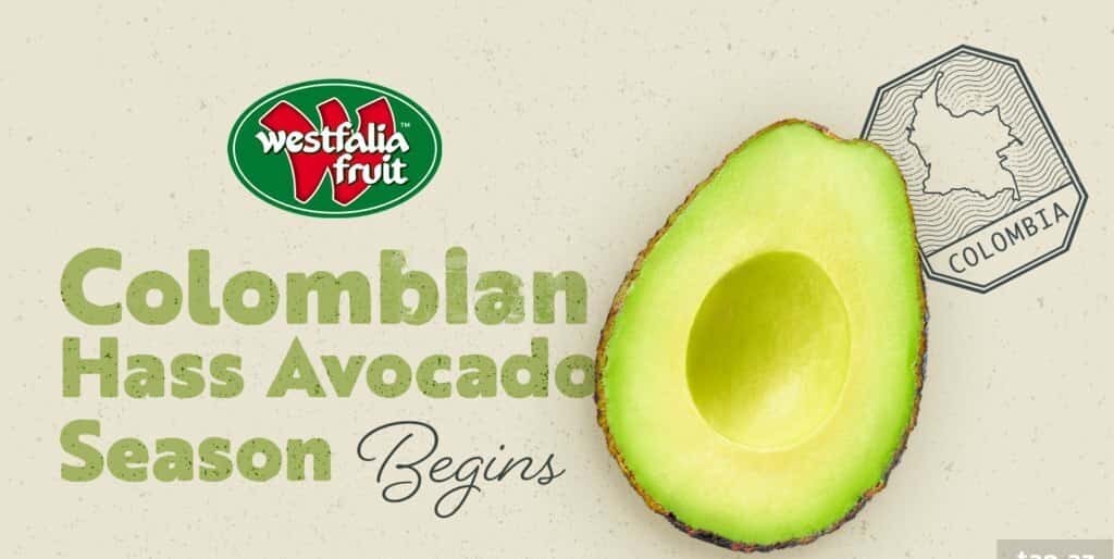 Hass Avocado and other varieties - Tenderyard
