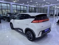 BYD Seagull, 2024 il, 14200 km — şəkil 6