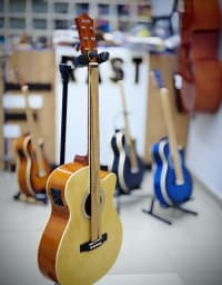 Elektro-akustik gitara, 12 simli — şəkil 3