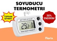Soyuducu termometri rəqəmsal və analoq — şəkil 1