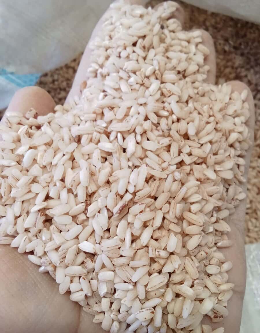 Local natural red round rice - Tenderyard