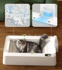 Petkit Purobot Crystal Duo Ağıllı Pişik Tualeti (P9905) — şəkil 8
