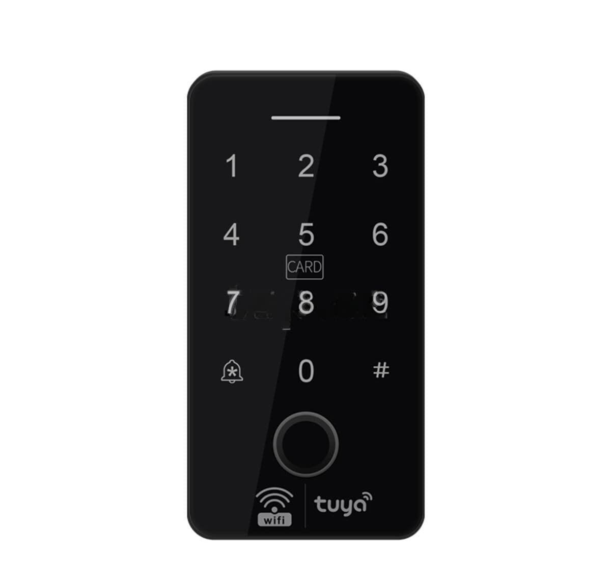 Girişə nəzarət sistemi Anbaod X-19 Biometrik