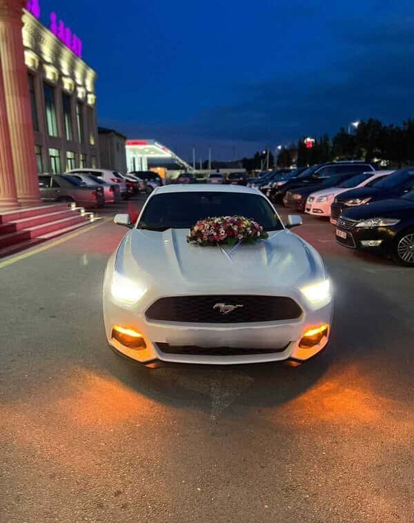 Avtomobil kirayəsi Ford Mustang 2018 - Tenderyard