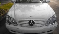 Radiator barmaqlığı Mercedes W220 — şəkil 6