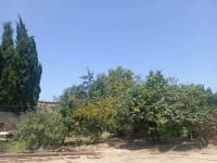 6 sot torpaq sahəsi satılır — şəkil 5