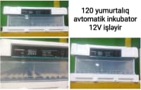 Tam avtomatik inkubatorlar, müxtəlif tutumlu — şəkil 2