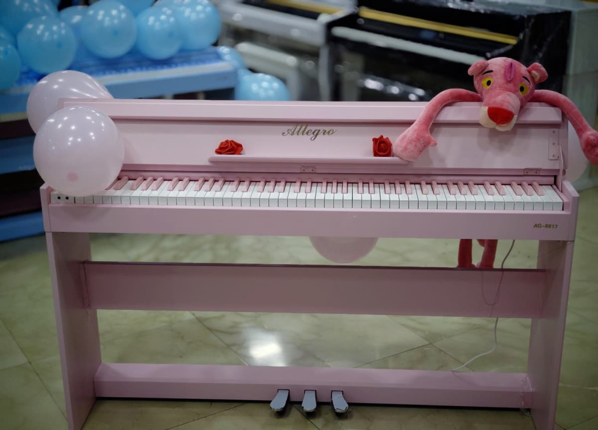 Elektron piano Allegro 8812 ağ