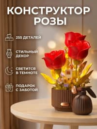 Konstruktor Interactive Blooming 255 elementli — şəkil 2