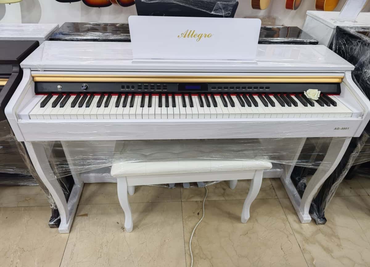 Electronic piano Allegro series - Tenderyard