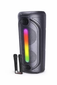 Portativ dinamik Big Sound 8 inch — şəkil 1