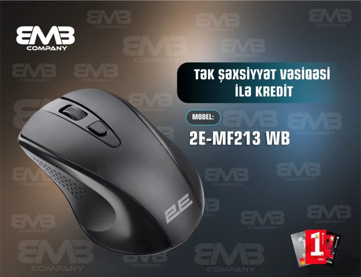 2E komputer siçanı