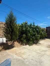 4 otaqlı bağ evi 256 m² satılır — şəkil 23