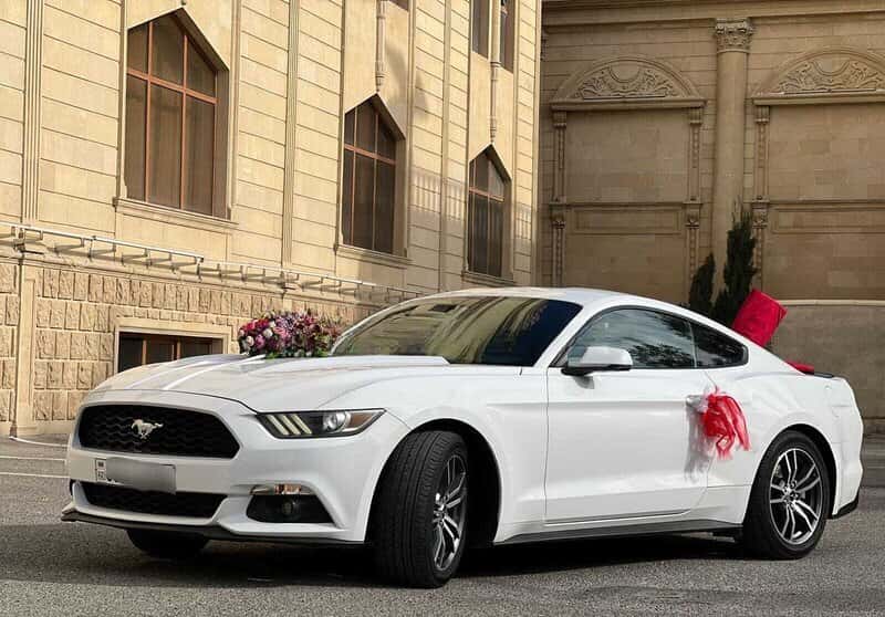 Avtomobil icarəsi Ford Mustang 2018 - Tenderyard