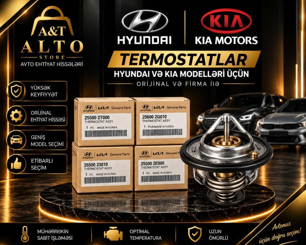 Thermostat for Hyundai and Kia models - Tenderyard