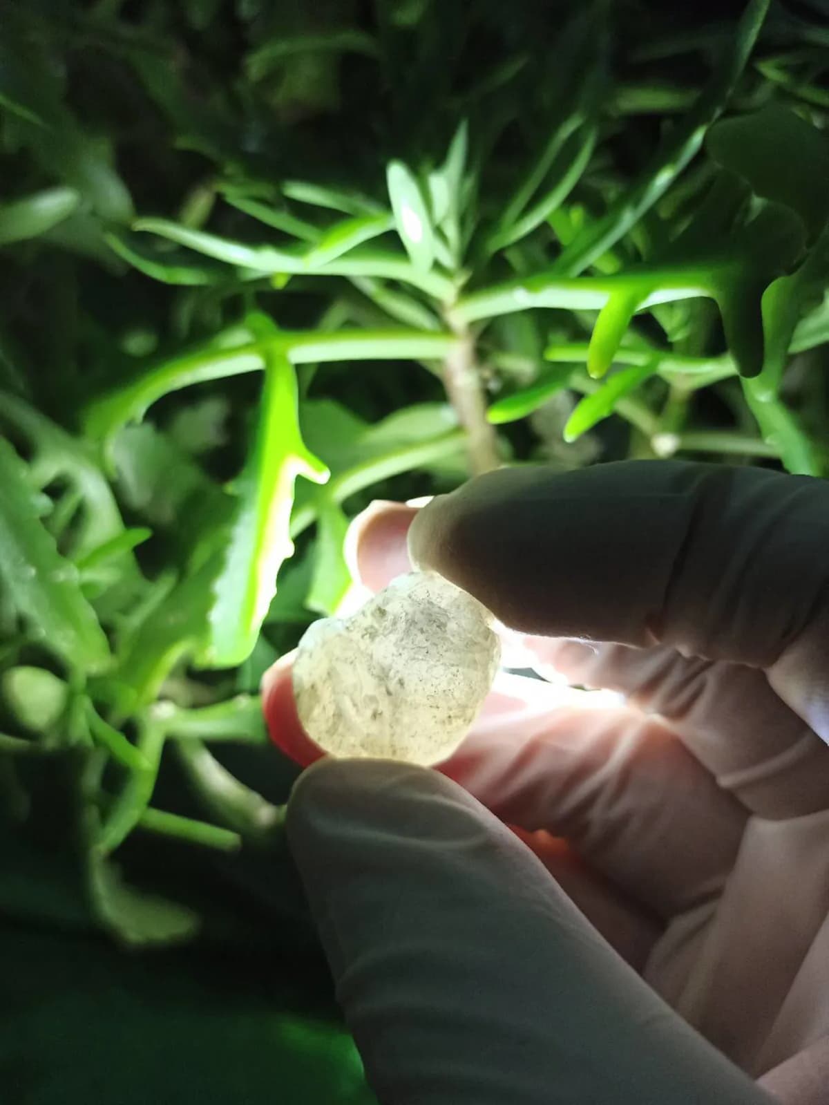 Mineral daşların Satışı 💎