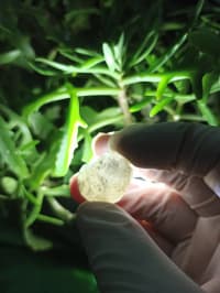 Mineral daşların Satışı 💎 — şəkil 1