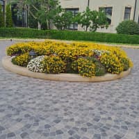 — şəkil 15
