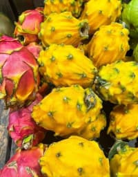 Əjdaha Meyvəsi (Pitaya) — şəkil 23