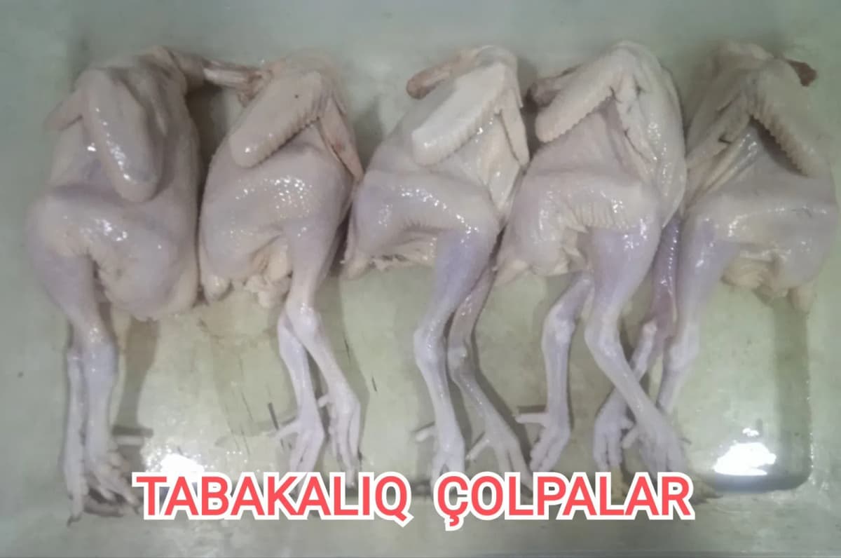 Toyuq əti tabakalıq çolpalar