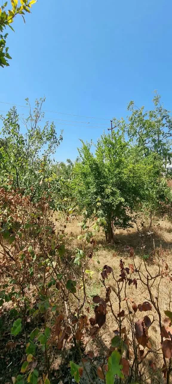 3 otaqlı həyət evi 100 m² satılır