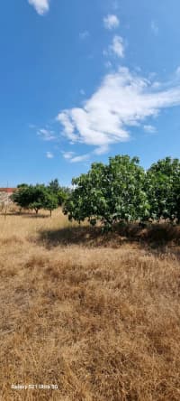 24 sot torpaq sahəsi satılır — şəkil 10