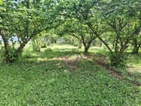 3 otaqlı bağ evi 62 m² satılır Qusar — şəkil 18