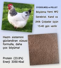 Kənd təsərrüfatı heyvanları üçün proteinli yemlər — şəkil 10