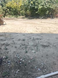 6 sot torpaq sahəsi satılır — şəkil 7