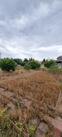 8.5 sot torpaq sahəsi satılır — şəkil 2