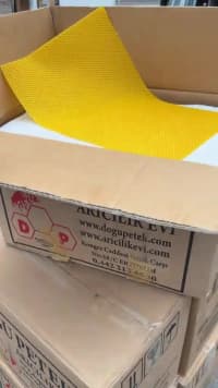 Arıçılıq üçün mum arı şanları — şəkil 9