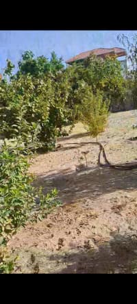 5 otaqlı həyət evi 165 m² satılır — şəkil 12