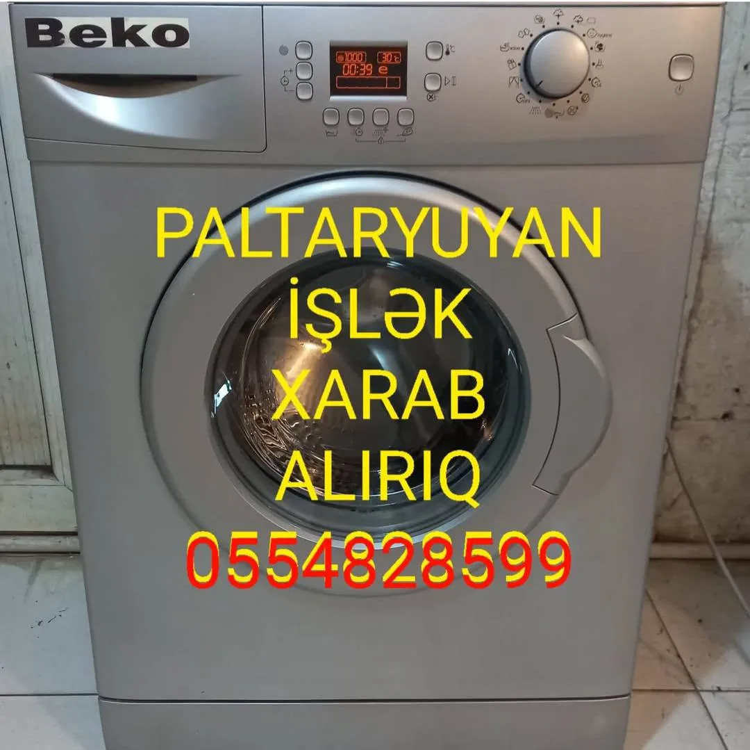 paltaryuyan alışı