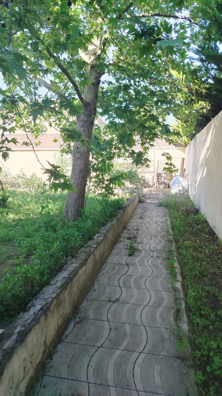 4.2 sot torpaq sahəsi satılır — şəkil 5