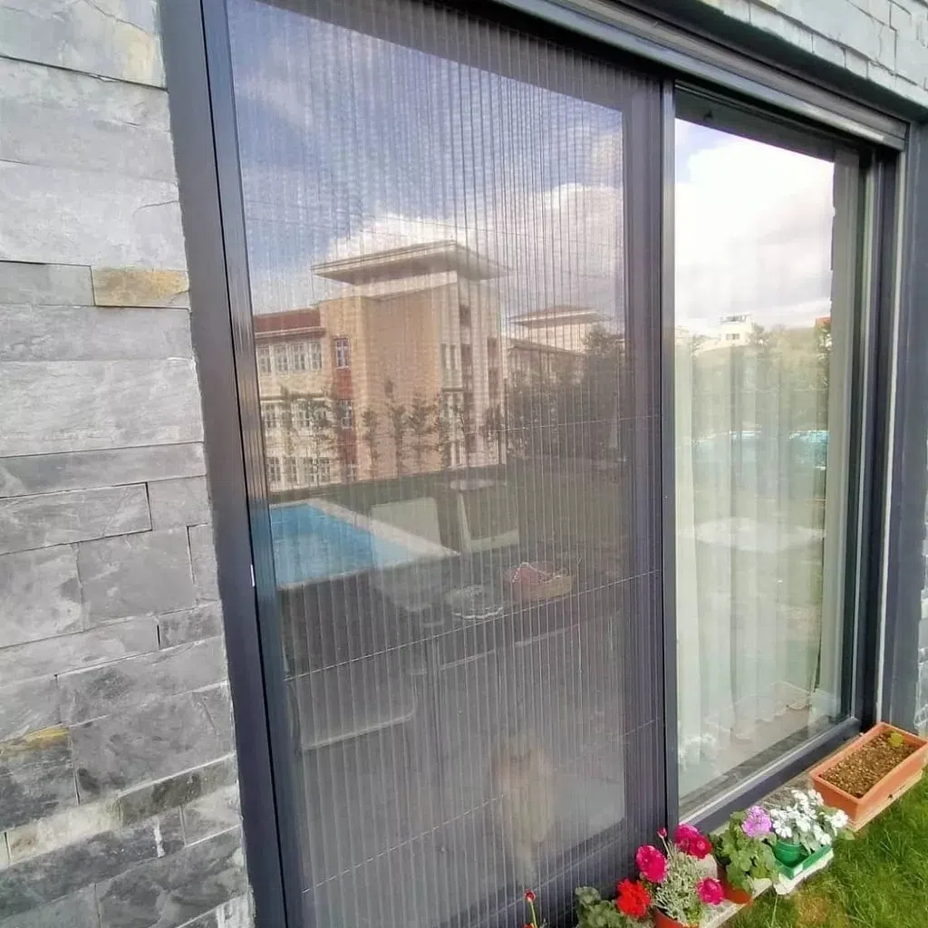 Plissə ağcaqanad toru