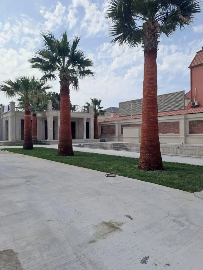 — şəkil 5
