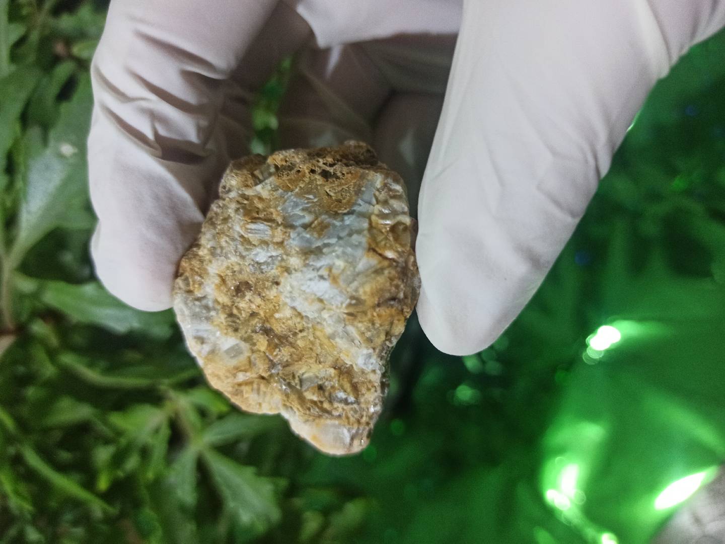 Petrified Wood (daşlaşmış ağac) fosili? 🧐🤔 — şəkil 1