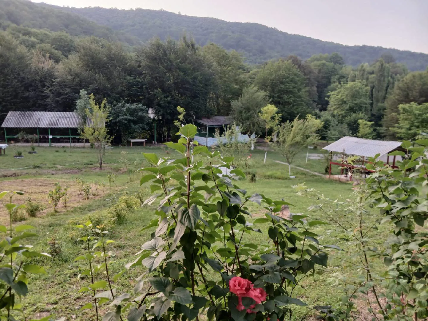 1.85 sot torpaq sahəsi satılır — şəkil 21