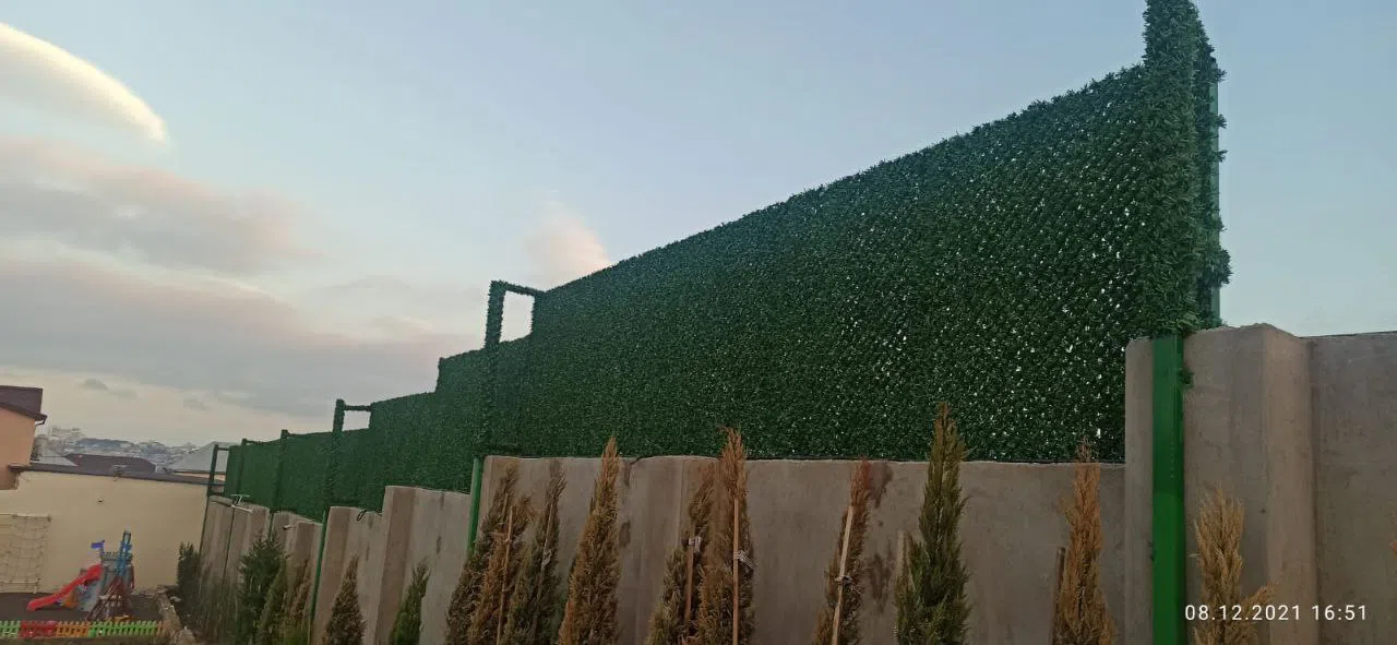 — şəkil 4