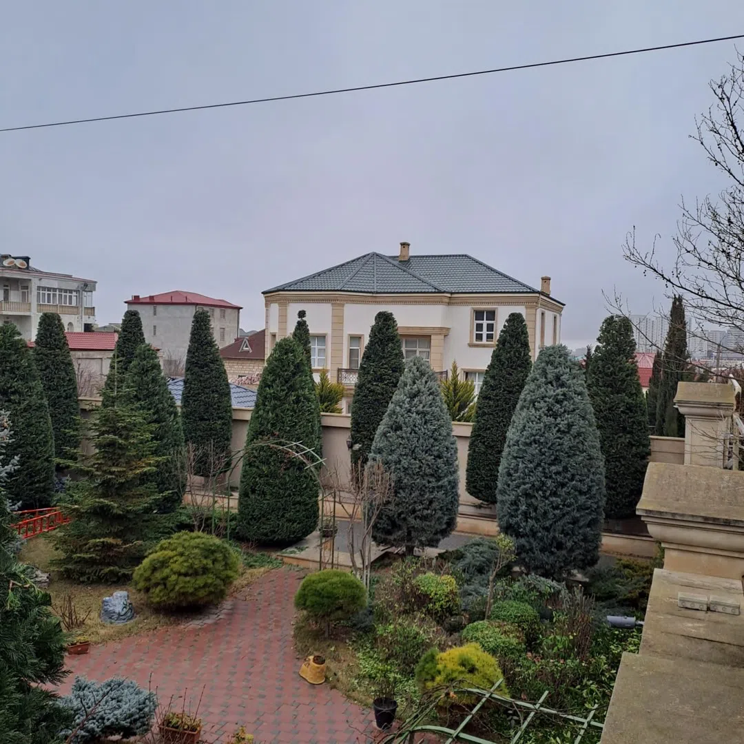 — şəkil 20