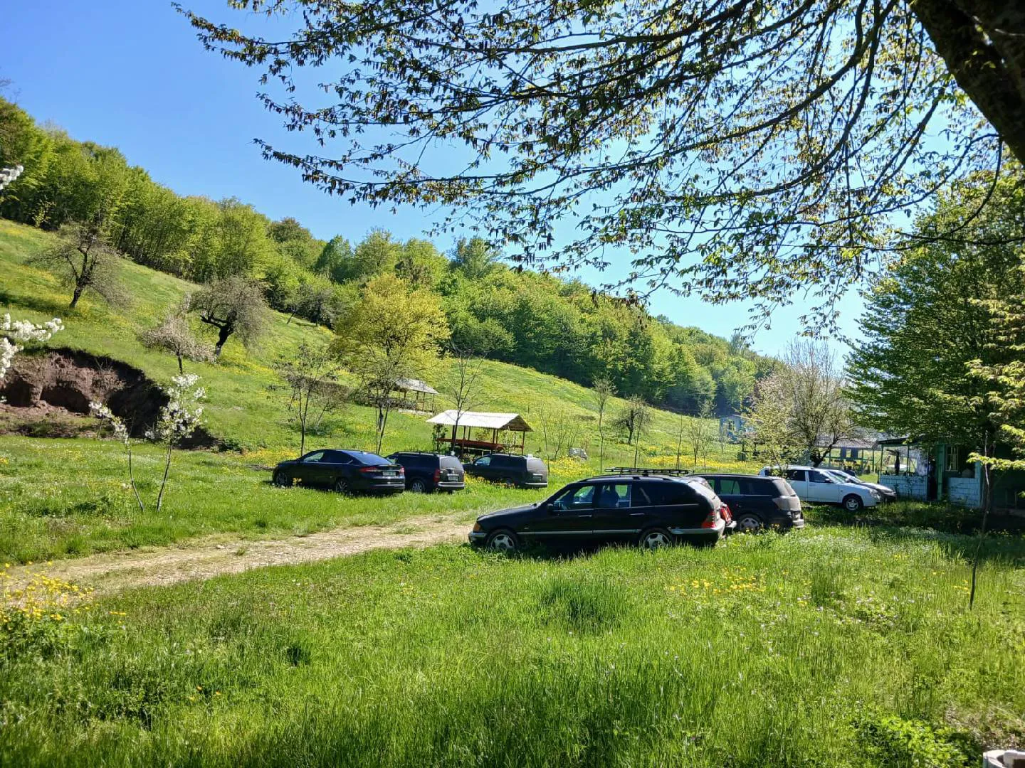 1.85 sot torpaq sahəsi satılır — şəkil 6