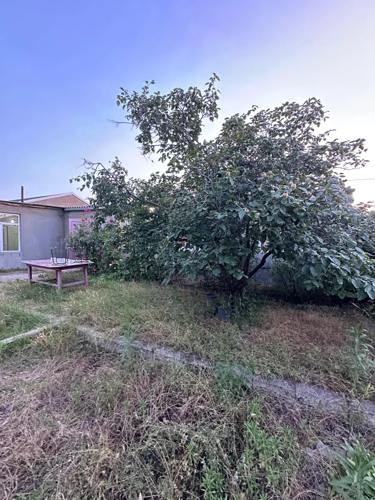 4 otaqlı həyət evi 100 m² - 6 sot torpaq sahəsində satılır — şəkil 8