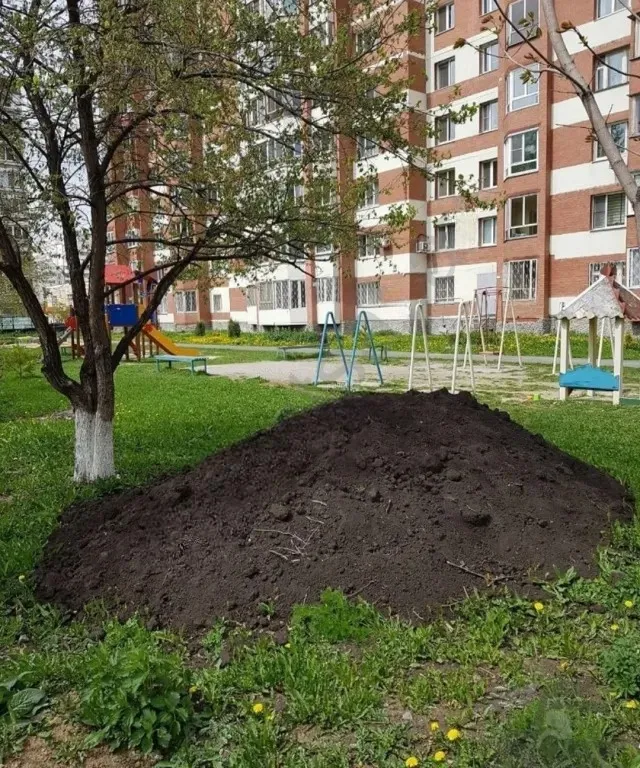 Black Forest Soil - Perfect Substrate for All Types of Plants - Tenderyard