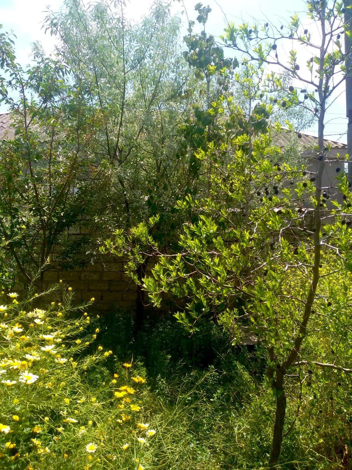 3 otaqlı həyət evi 60 m² satılır — şəkil 15