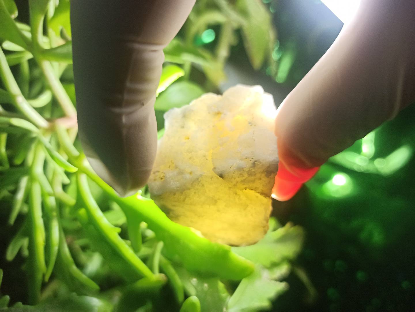 İşıq keçirən Təbii Mineral Daşlar ✨💎 — şəkil 8